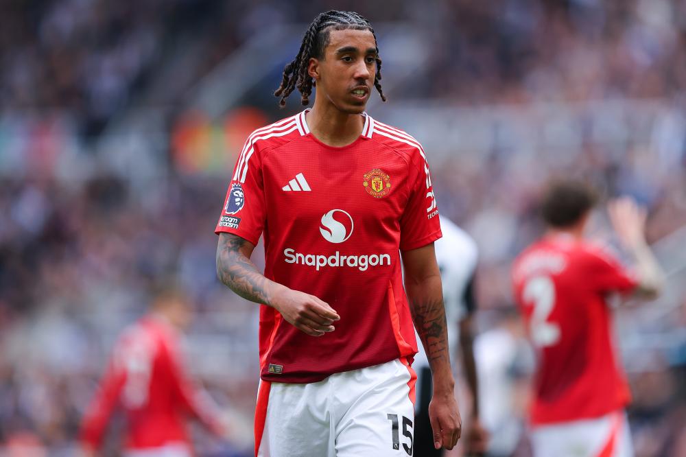 而巴西则凭 而巴西则凭